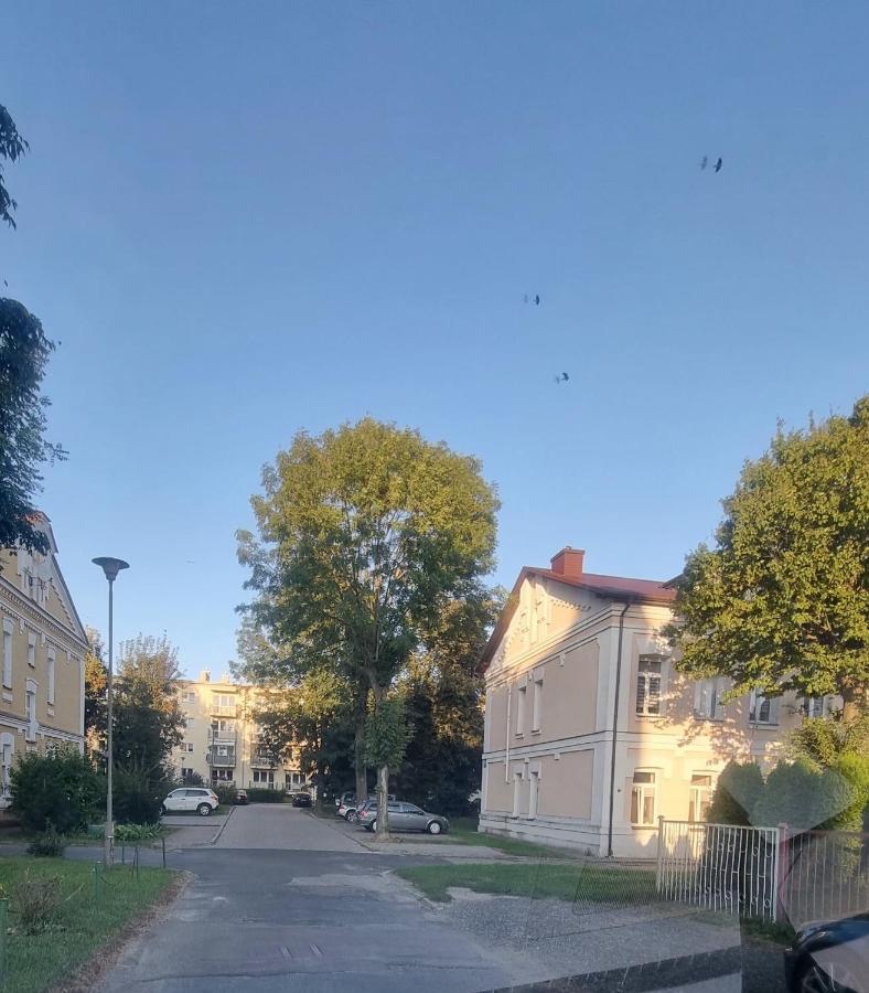 Apartament Kresowy Parter 3 Pokoje Duza Lazienka Kabino-Wanna Spa Wi Fi Ekspres 2X Smart Tv Antresola Parking Free Plac Zabaw Bilet Na Aquapark 150M W Cenie Hrubieszow Eksteriør billede